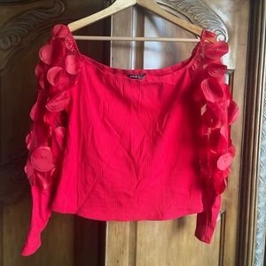 Rose Red Blouse (SHEIN)